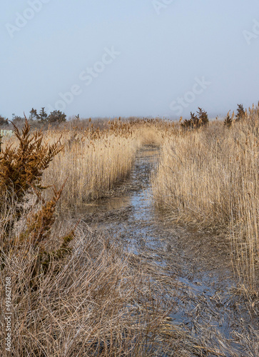 sand dunes and grass with tidal stream