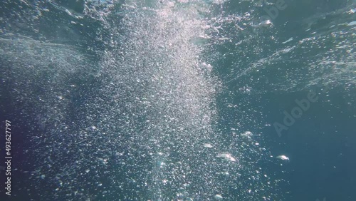 Wallpaper Mural Slow motion of the air bubbles floating from sea bottom to the water surface. Air bubbles in the blue water under surface of water. Natural underwater background Torontodigital.ca