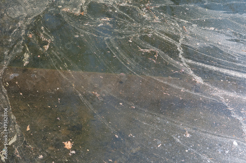 scum on the surface of pool photo