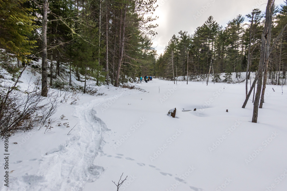 A group of snow shoers (in the distance) trace the edge of a beaver pond covered in snow and ice in the boreal forest of Eastern Ontario, shot in early spring. Room for text. A group of snow shoers (in the distance) trace the edge of a beaver pond covered in snow and ice in the boreal forest of Eastern Ontario, shot in early spring. Room for text.