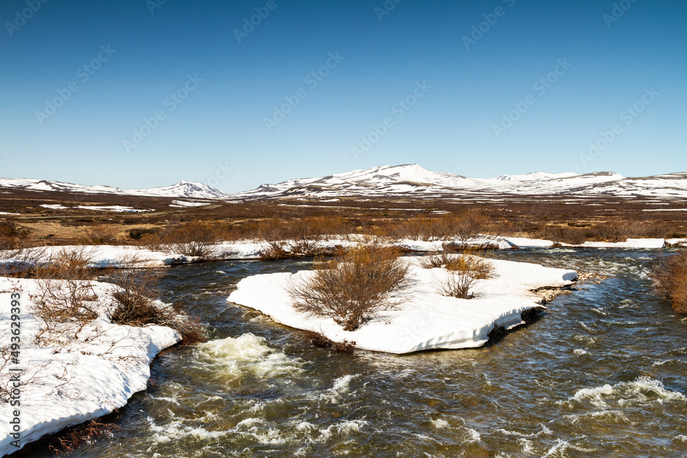Spring scenery in the Dovrefjell, Norway, with creek, rocks, hills, mountains, and patches of snow