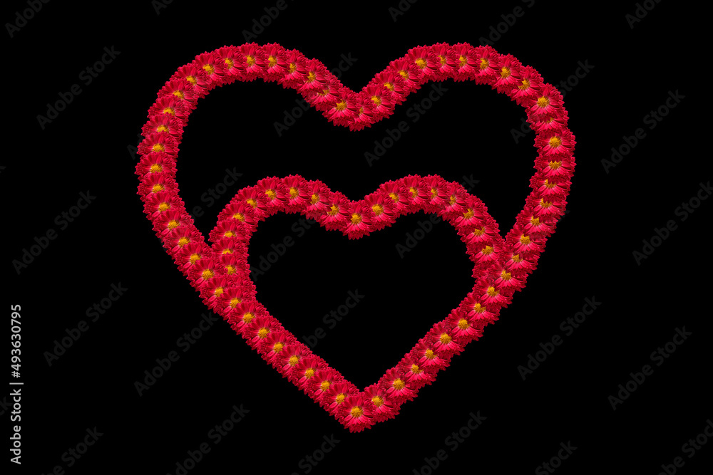 Two hearts joined together as a symbol of love, family. Outlines of hearts framed by flower buds highlighted on a black background. Flower hearts as a symbol of loyalty