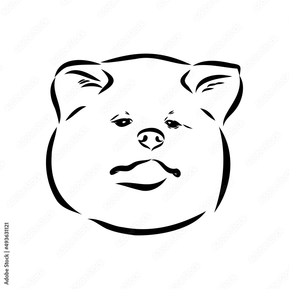 Akita dog face - isolated vector illustration akita inu dog vector Akita dog face - isolated vector illustration akita inu dog vector