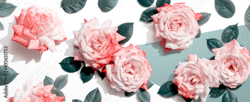 Pink roses with green leaves overhead view - flat lay