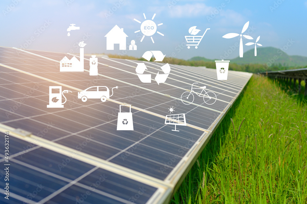 Fototapeta premium Background of Photovoltaic Cell Farm or Solar Panels Field, eco friendly and clean energy.