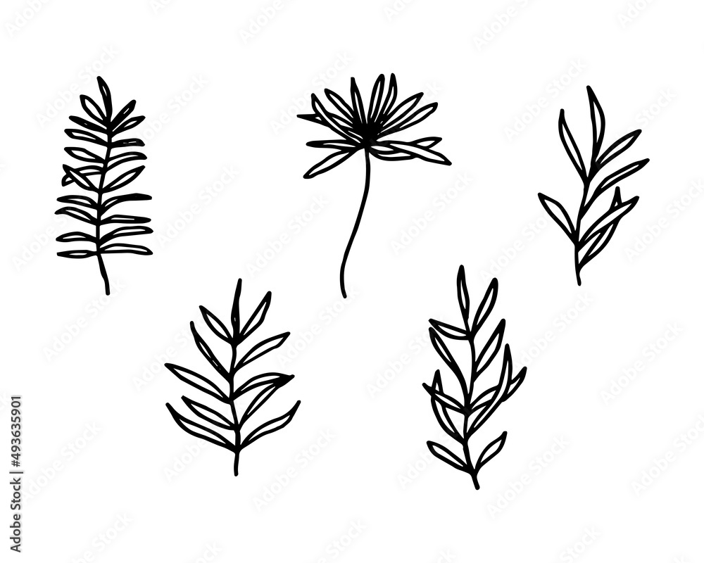 floral hand drawn illustration for design element. floral hand drawn illustration for design element.