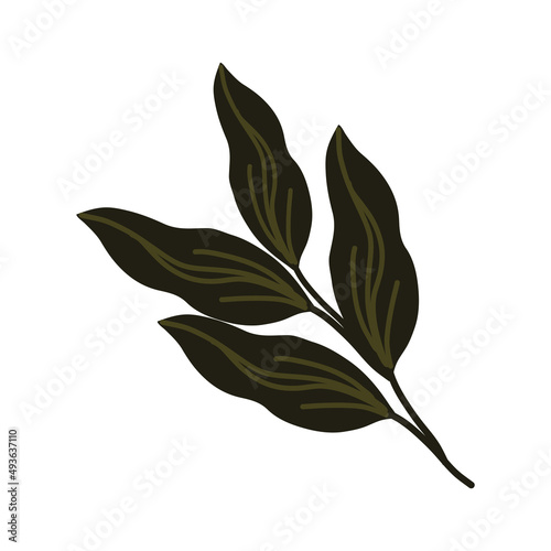 branch plant icon © djvstock