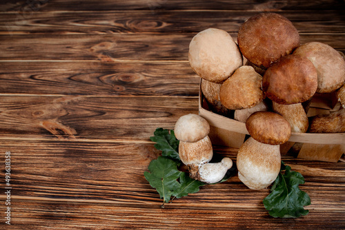 Mushroom Boletus over Wooden Background. Autumn Cep Mushrooms. Cooking delicious organic mushroom. Gourmet food.