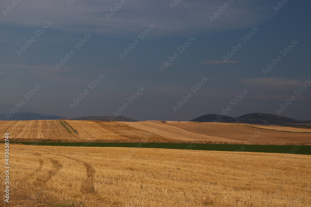 Countryside view, landscape with a field of wheat and dramatic sky, Greece