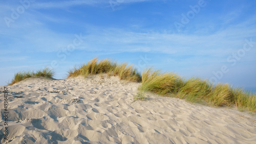 Sand dunes and beach  of Fort-Mahon-Plage. Hauts-De-France region   © hassan bensliman