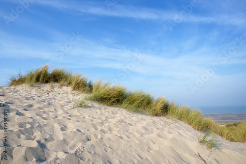 Sand dunes and beach of Fort-Mahon-Plage. Hauts-De-France region 
