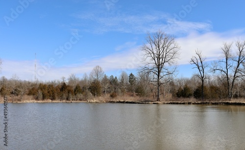 The beautiful calm pond in the country on a sunny day.