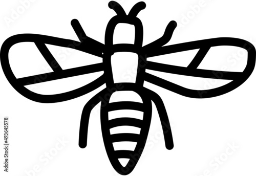 handdrawn bee icon