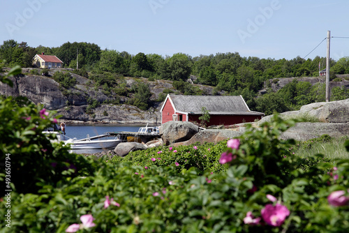 Boote im Wasser von Hvasserveien, Sandefjord, Vestfold Fylke, Norwegen, Europa   --
Boats in the water of Hvasserveien, Sandefjord, Vestfold Fylke, Norway, Europe photo