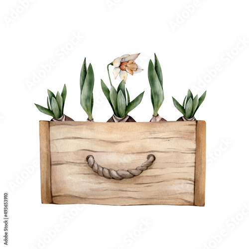 Photos Hand Drawn Watercolor Spring Flowers in a wooden box