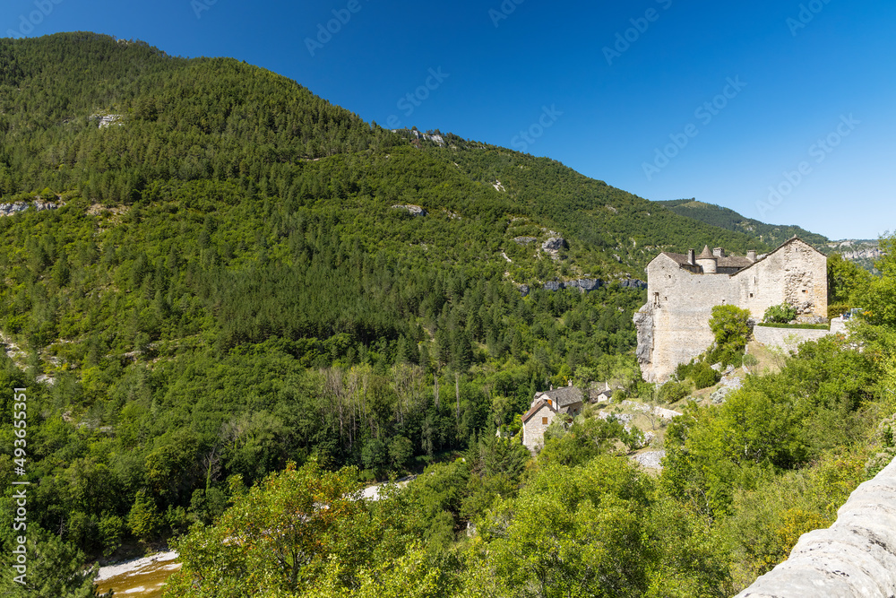 Gorges du Tarn, Occitania region, Aveyron department, France