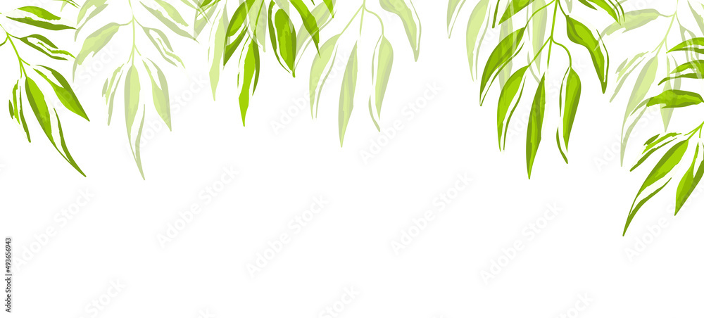 Fototapeta premium Floral web banner with drawn color exotic leaves. Nature concept design. Modern floral compositions with summer branches. Vector illustration on the theme of ecology, natura, environment