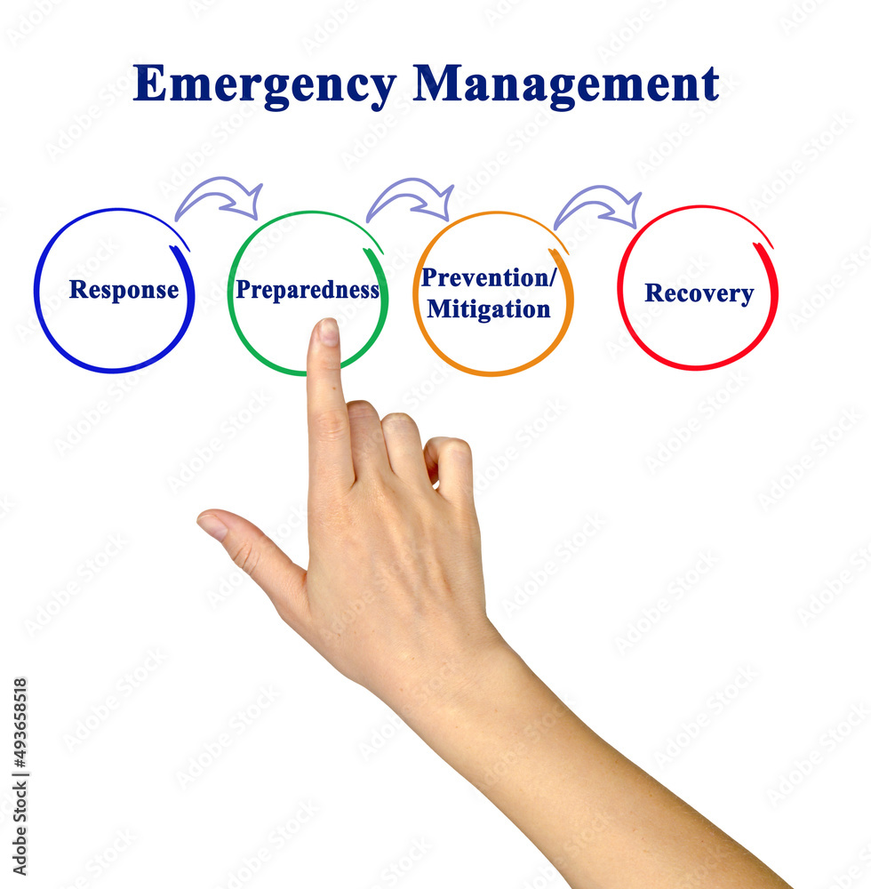 Components of Emergency Management Process Components of Emergency Management Process