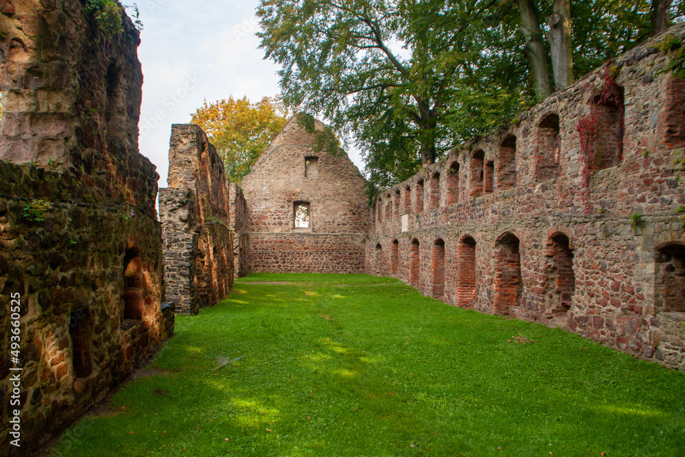 The ruins of the monastery church in Nimbschen, a former Cistercian abbey near Grimma in the Saxon district of Leipzig on the Mulde River in Germany. important monument of the Reformation.