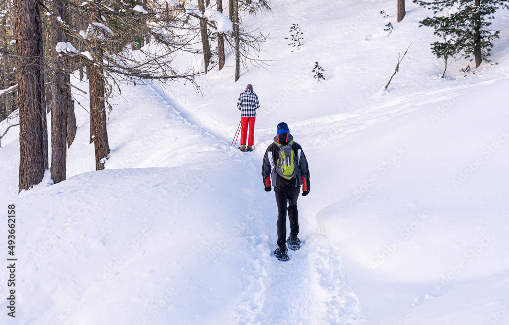 Two men snowshoeing in powder snow on a trail in forest. Outdoor winter activity and healthy lifestyle