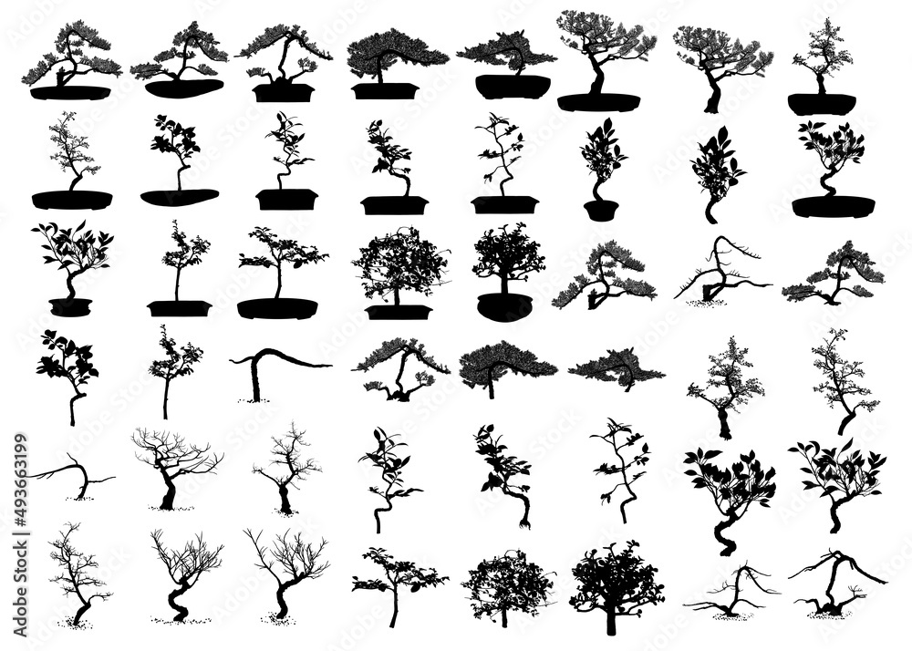 Set of Bonsai Japanese trees silhouette growing in pots and containers