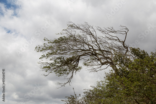 Property that some bodies present from returning to their original form after having undergone elastic deformation.