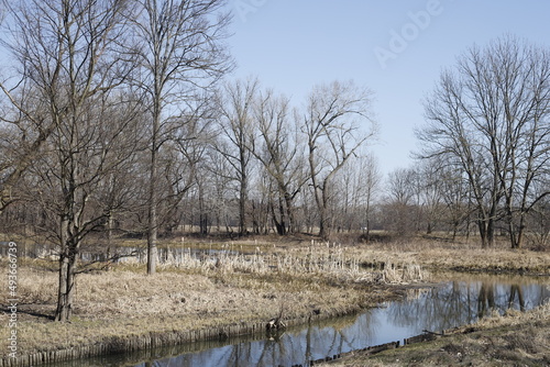 Park zimowy słoneczny dzień