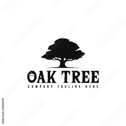 oak tree logo design. logo template