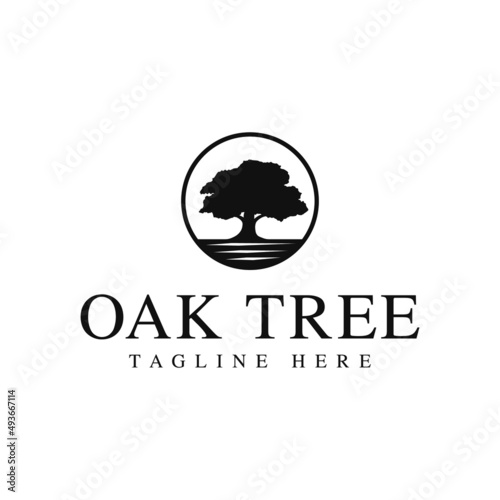 oak tree logo design. logo template