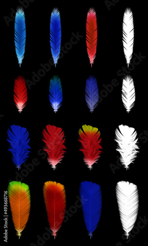 Parrot feathers with many colors. Blue, orange, green yellow. Separate Black and white transparency alpha mask to control the opacity and remove them from the background.    photo