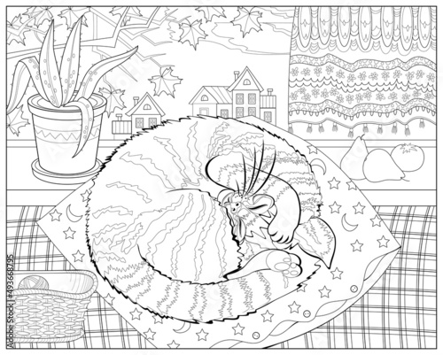 Cute cat sleeping on a pillow in warm room near window. Coloring book for children and adults. Illustration in zen-tangle style. Printable page for drawing and meditation. Black and white vector.