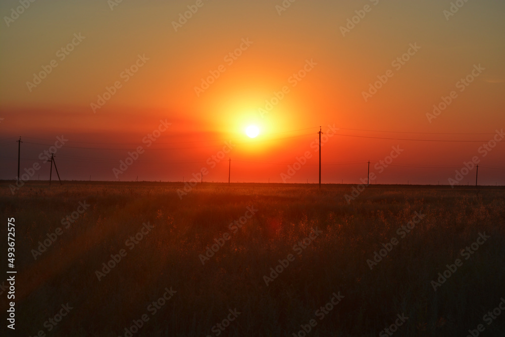 wind turbines in the sunset