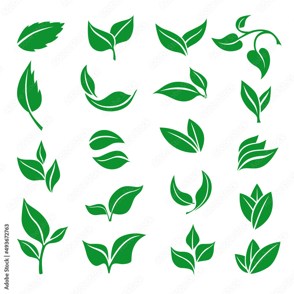 Icon of eco emblem with leaves set