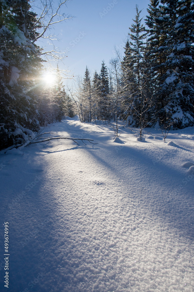 Obraz premium snow
