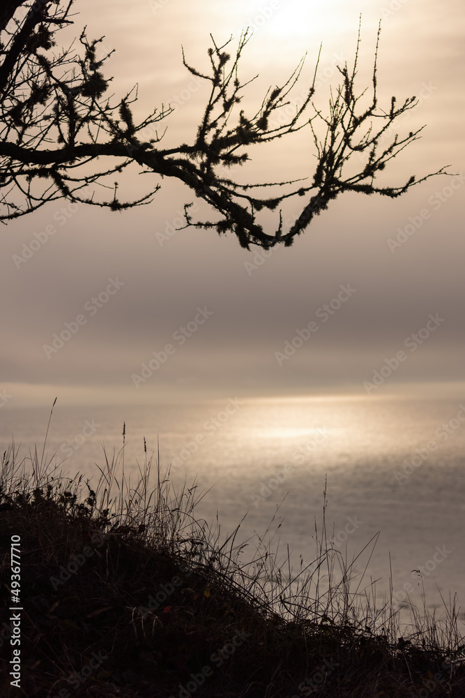 silver gold light shining on the water under the clouds in silver gold light shining on the water under the clouds in