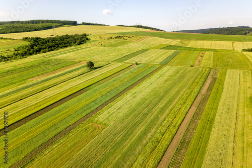 Aerial view of green agricultural fields in spring with fresh vegetation after seeding season on a warm sunny day. © bilanol