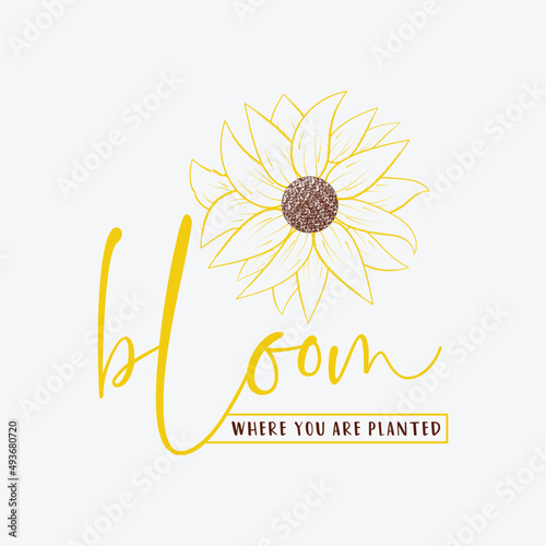 Bloom where you are planted, 
sunflower motivational quotes, typography for t-shirt, poster, sticker and card
