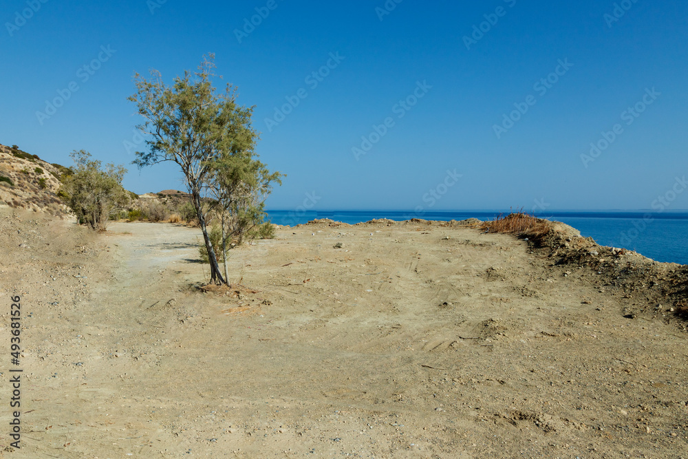 Summer landscape of Crete island in Greece in Europe. Coast in the Larapetra region. In the background is a sunny sky with clouds.