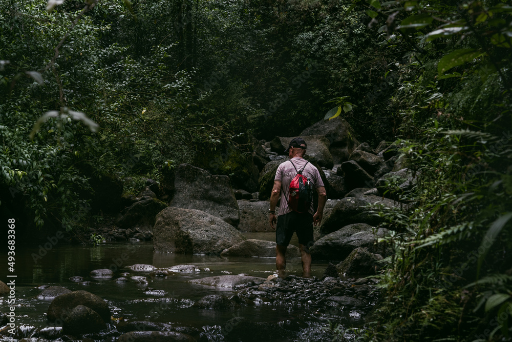 man hiking in rain forest in hawaii man hiking in rain forest in hawaii
