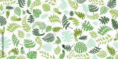 Background with exotic jungle plants. Tropical palm leaves. Rainforest illustration, green on white.