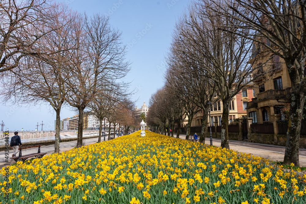 Obraz premium Spring flowers on the Urumea river in the city of San Sebastián, Gipuzkoa. Basque Country