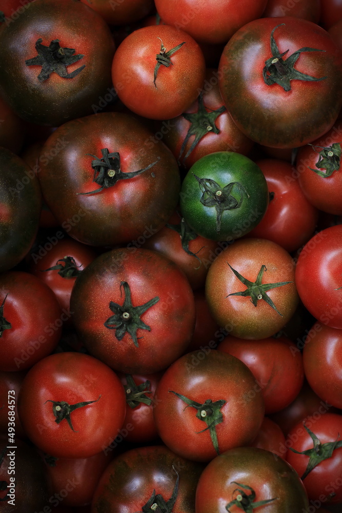 Tomatoes smooth round, group, Sicilian tomatoes, Italian vegetables Tomatoes smooth round, group, Sicilian tomatoes, Italian vegetables