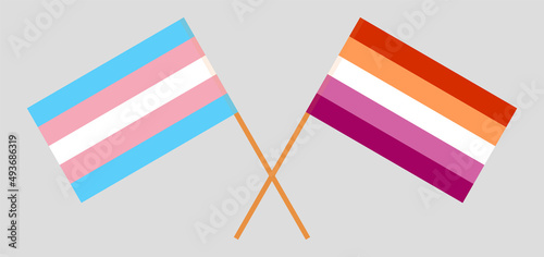 Crossed flags of Transgender Pride and Lesbian Pride. Official colors. Correct proportion