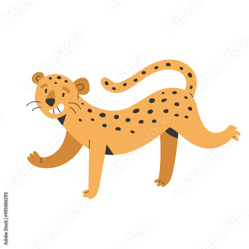 Cute smiling jaquar, exotic jungle animal with friendly facial expression, african wildlife, flat vector illustration, vector clip art isolated on white background