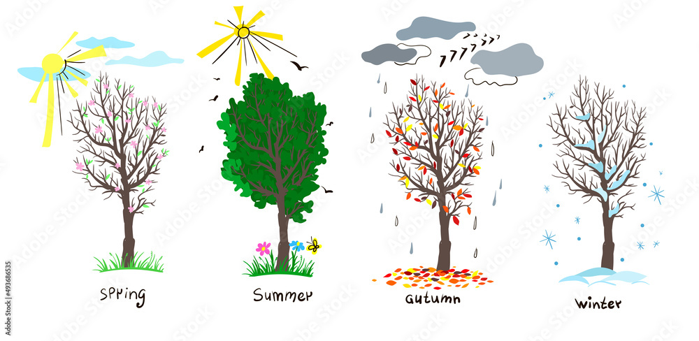 Set of four seasons of the year. Showing four trees in doodle style ...