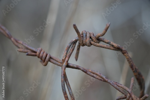 Barbed wire across the road, war zone Ukraine in the background © venars.original