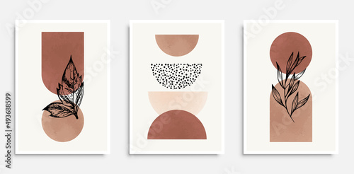 Botanical wall art. Plants with abstract shapes. Design for poster, wall art, home interior, cover. Vector illustration