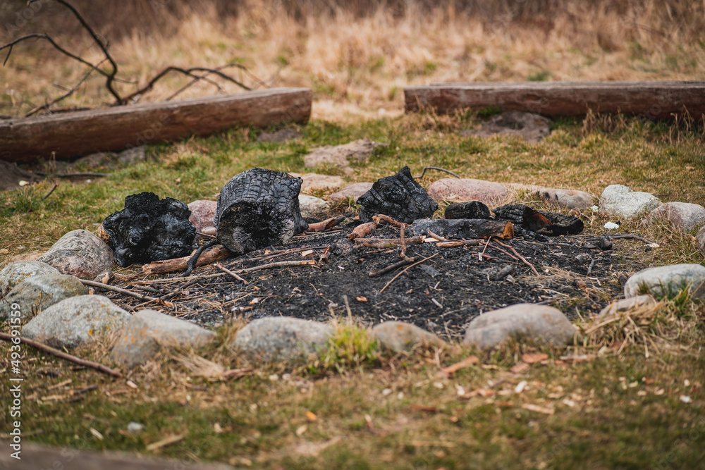 A burned out bonfire spot in a meadow. A burned out bonfire spot in a meadow.