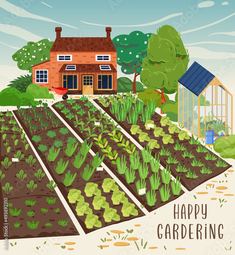 Garden, farm and agriculture. Garden, fields, house, trees, greenhouse and green plant vector illustration. For poster, background or postcard