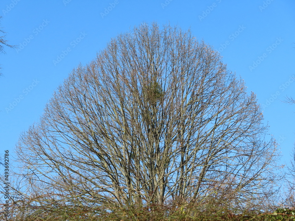 try and sky try and sky